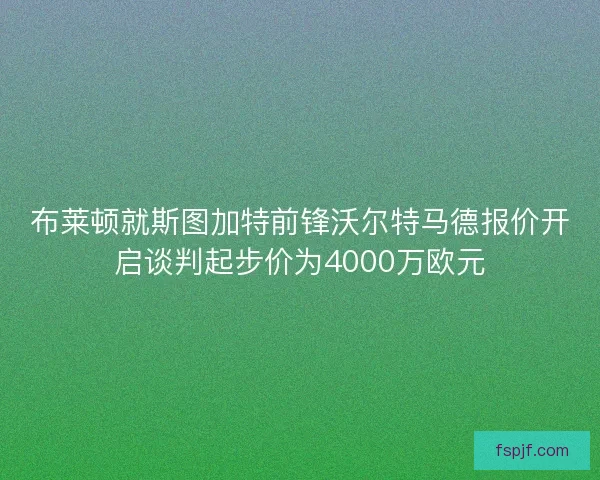 布莱顿就斯图加特前锋沃尔特马德报价开启谈判起步价为4000万欧元