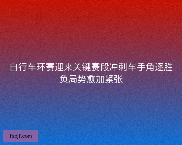 自行车环赛迎来关键赛段冲刺车手角逐胜负局势愈加紧张